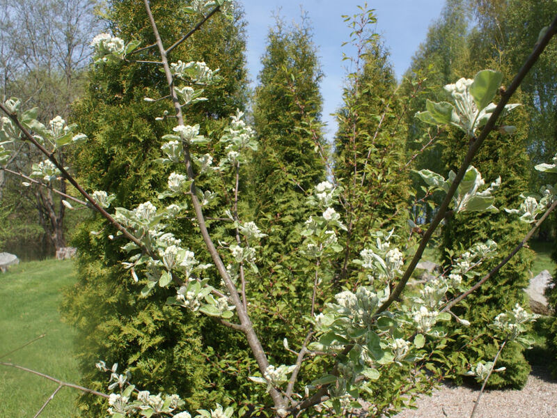 Objekt PL7615.682