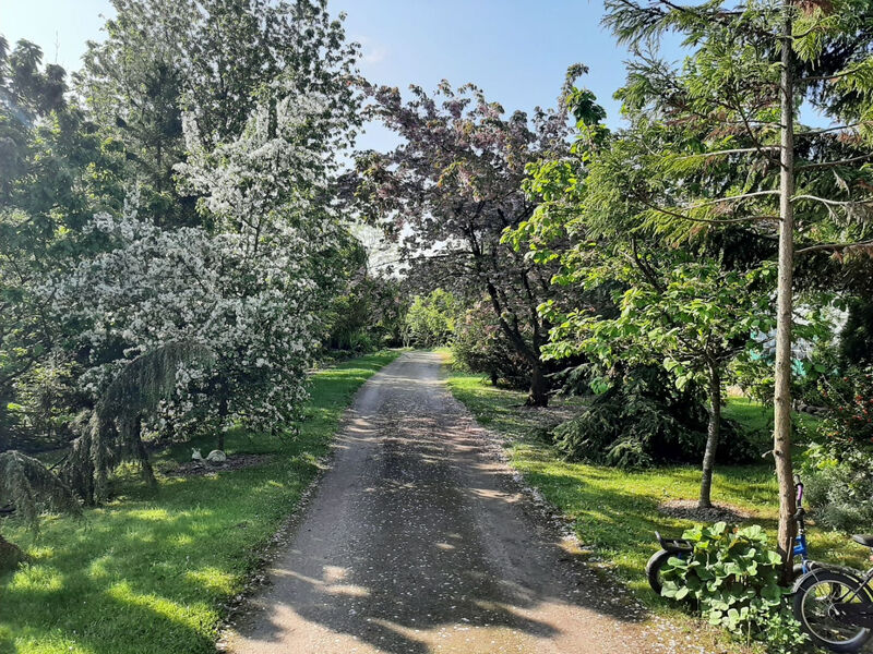 Objekt PL7615.690