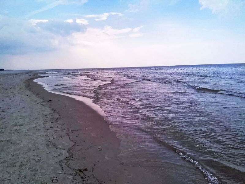 Pod Dębami