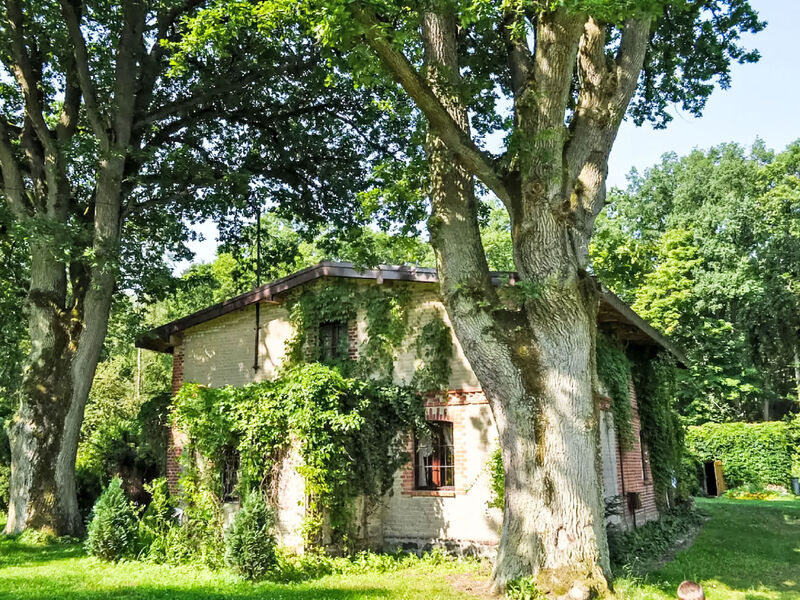 Pod Dębami