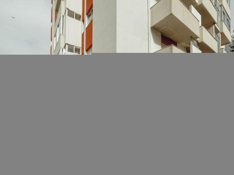 CRYSTAL PALACE GARDEN STYLISH APARTMENT