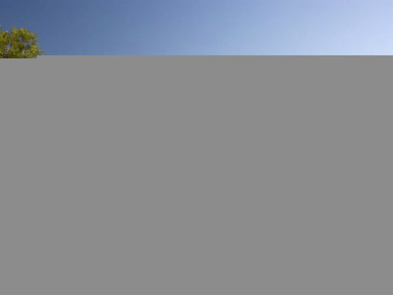 Boavista Golf Resort Apartment