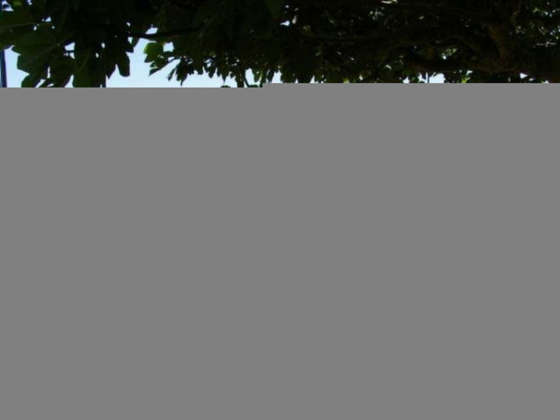 Boavista Golf Resort - Fairviews Villa