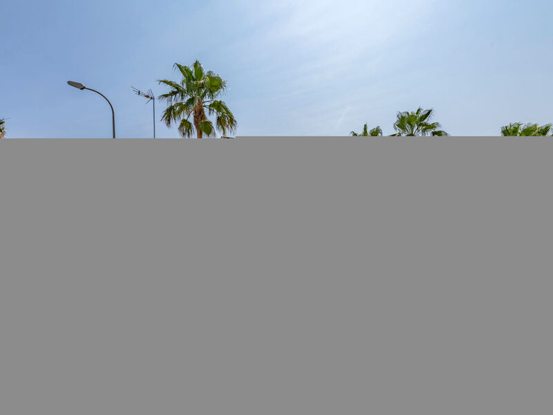 Miguel VIP Properties