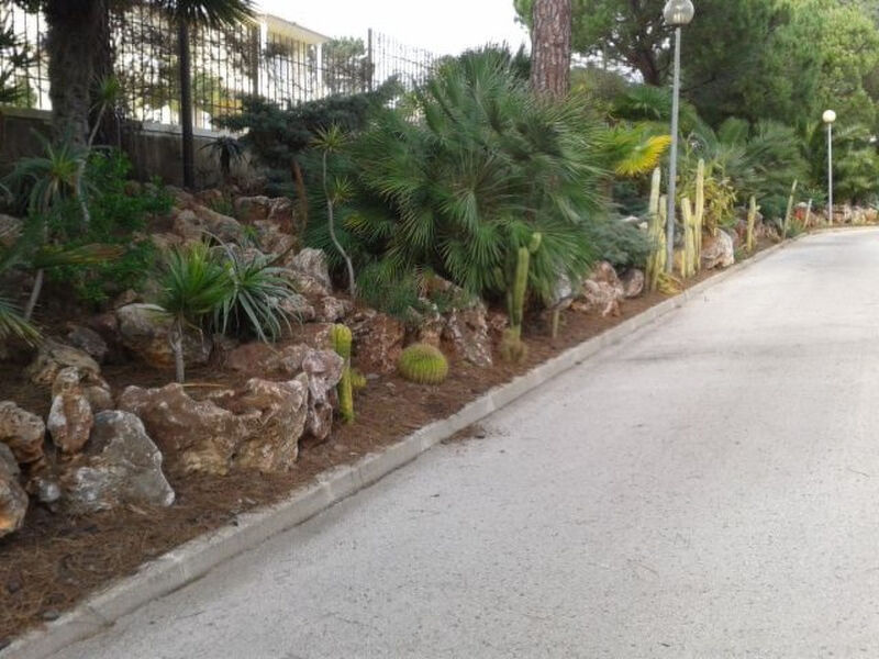 Pine Sun Park