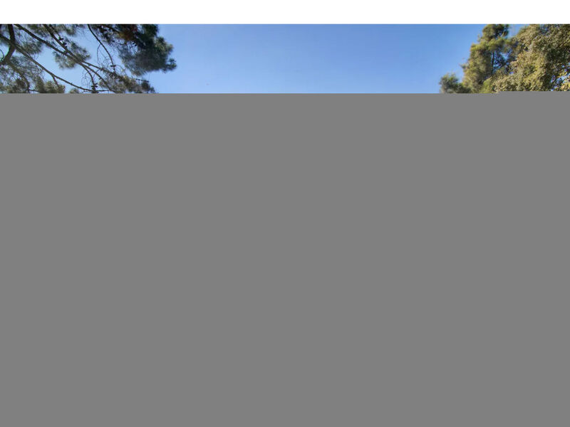 Casa Mila - Sunny Way