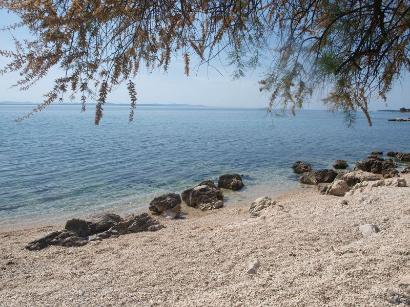 Apartmány Lotos