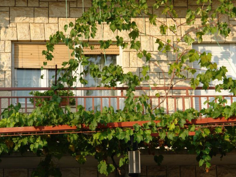 Apartmán Glorija