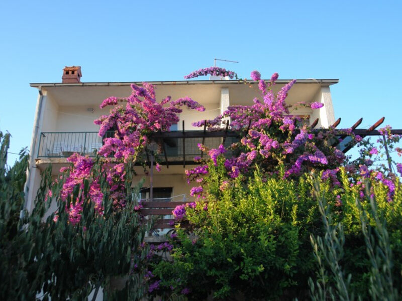 Apartmán Gina