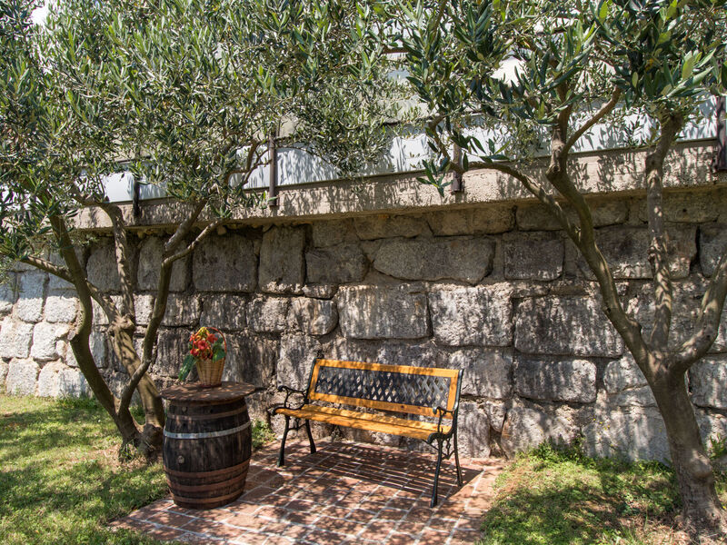 Apartmány 1355-859