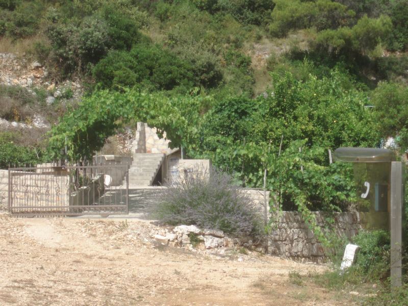 Robinzonáda Medea