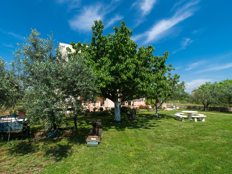 Apartmány 1355-1249