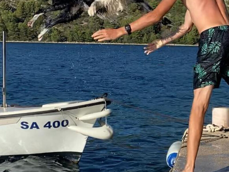 Robinzonáda Crusoe