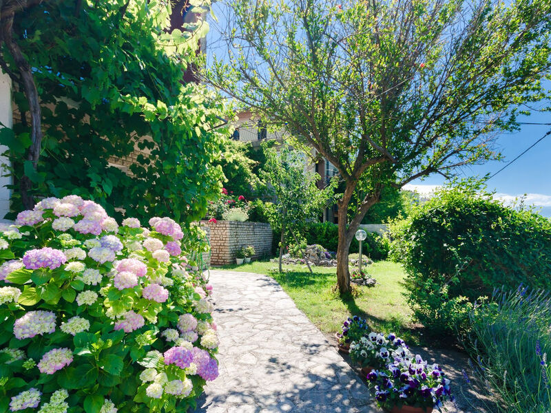 Apartmány 1355-1520