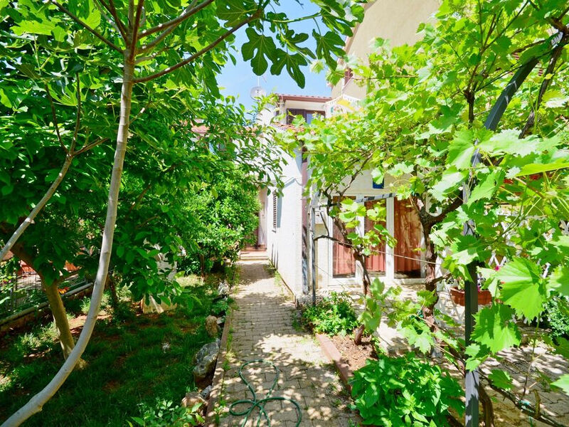 Apartmány 1355-1781