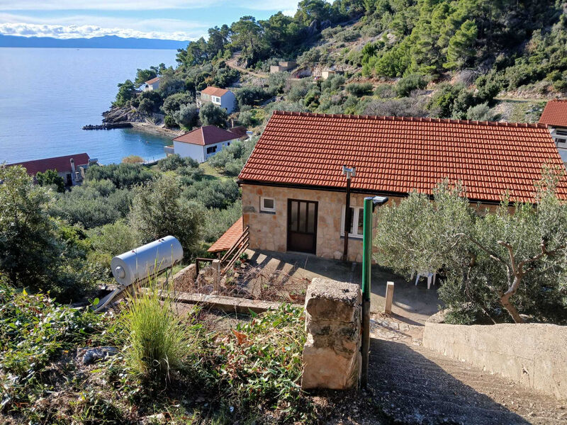 Robinzonáda  Torac