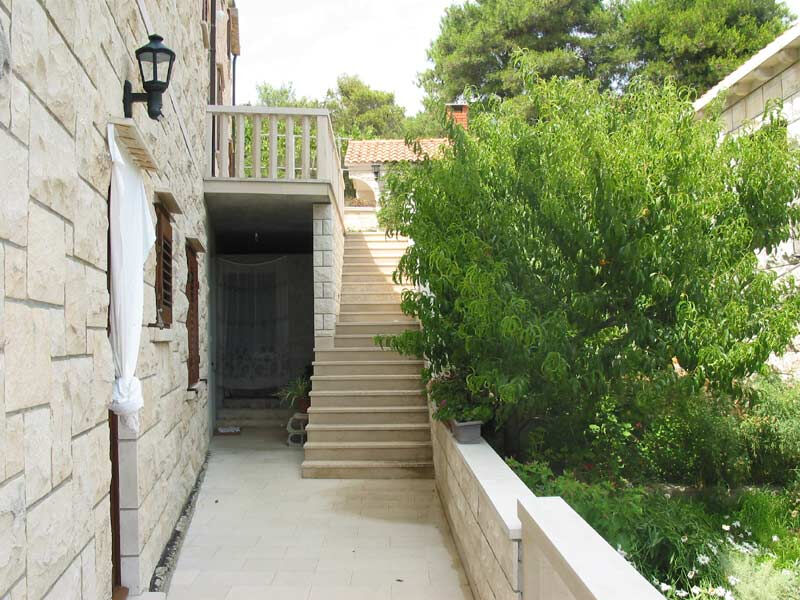 Vila Pinus