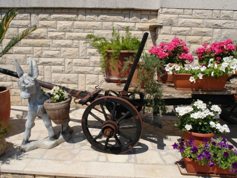 Apartmány Ilaria