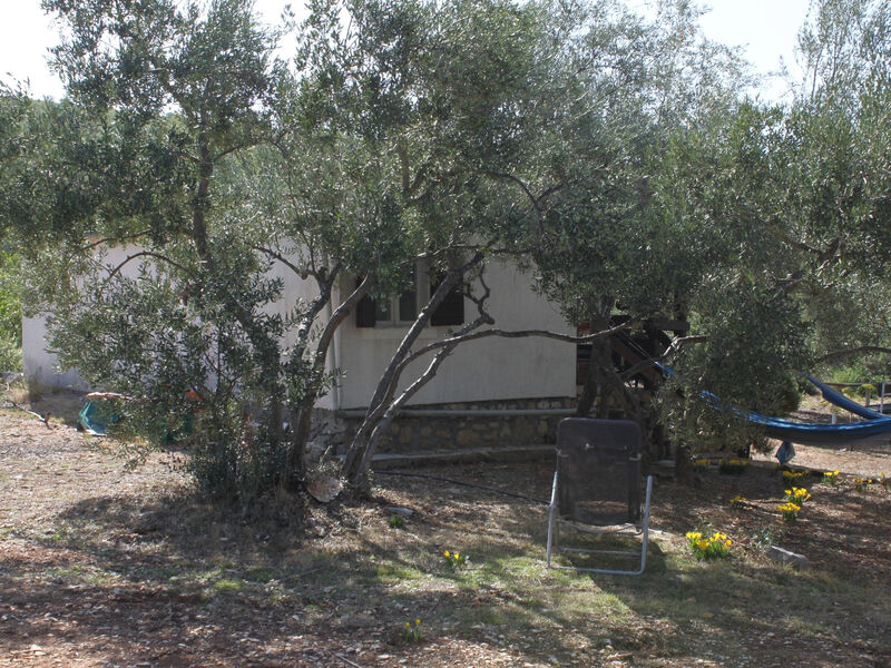 Robinzonáda 3298-4