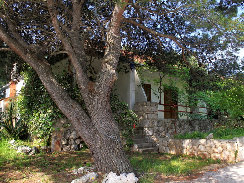 Apartmány 3298-5