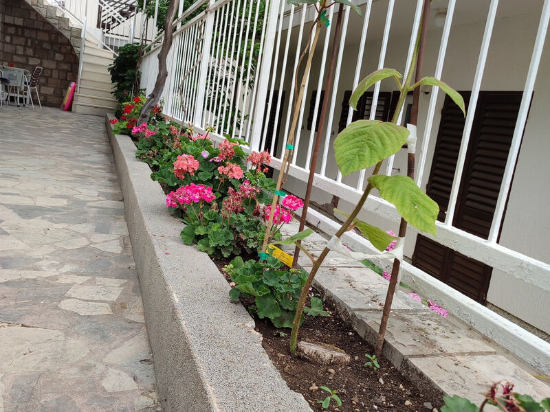 Apartmány 3298-461