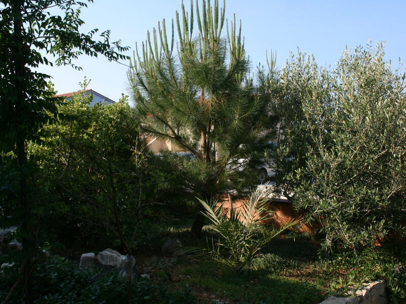Apartmány 3298-1386