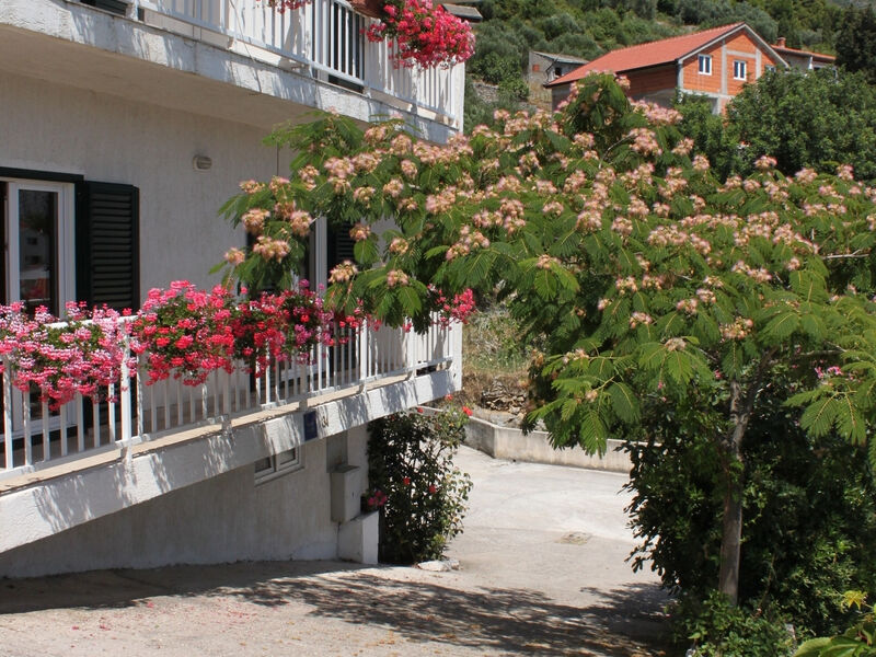 Apartmány 3298-1504