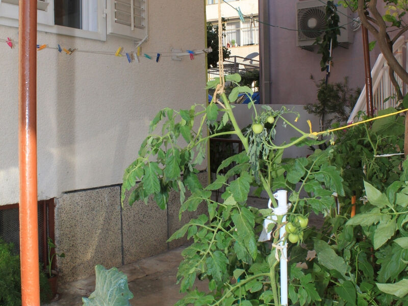 Apartmány 3298-1516