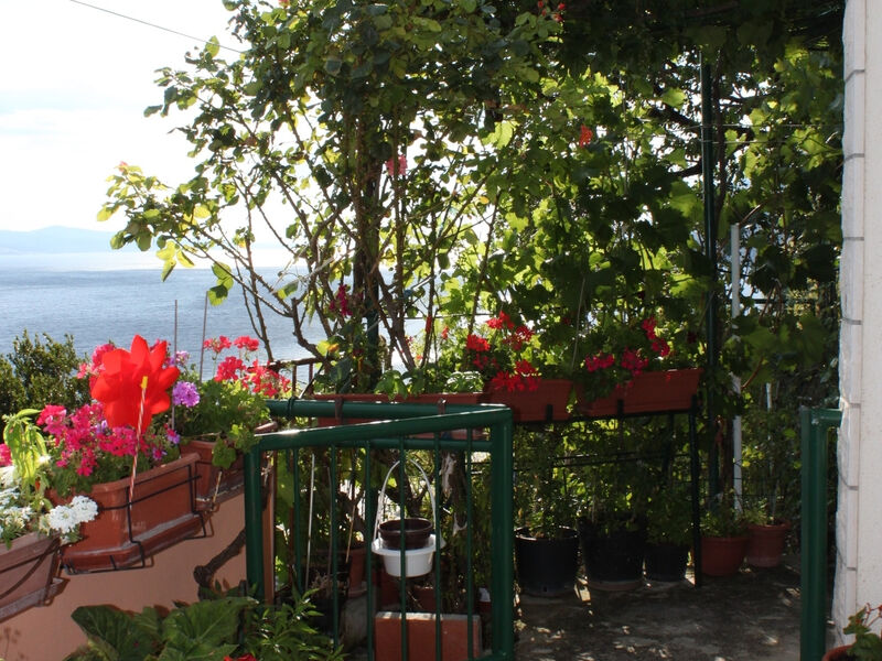 Apartmány 3298-1524