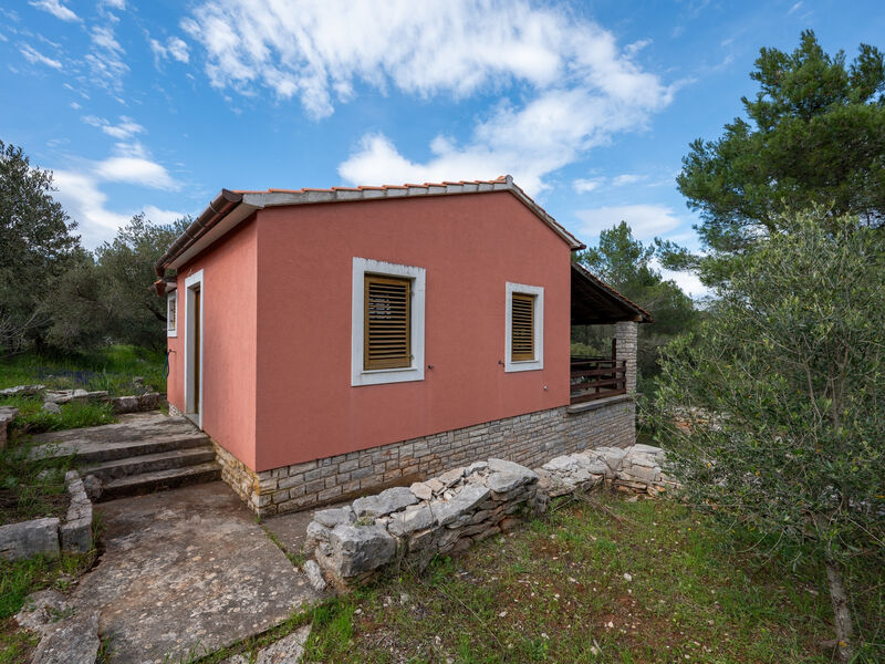 Robinzonáda 3298-1804