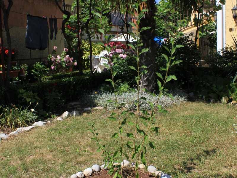 Apartmány 3298-1829