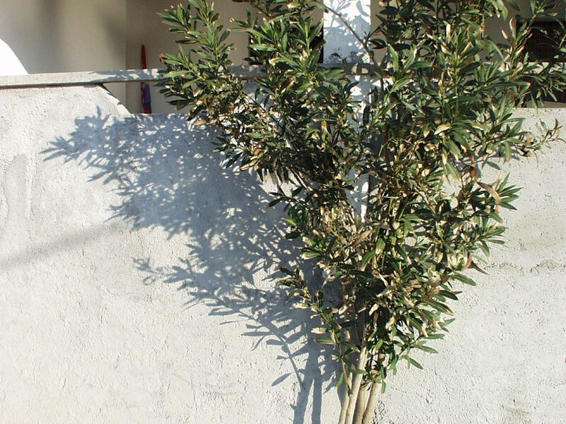 Apartmány 3298-2178