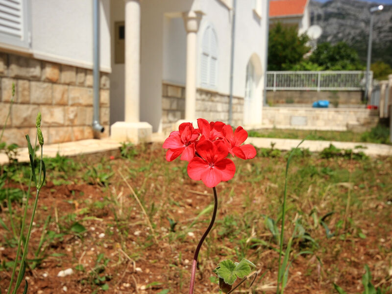 Apartmány 3298-2199