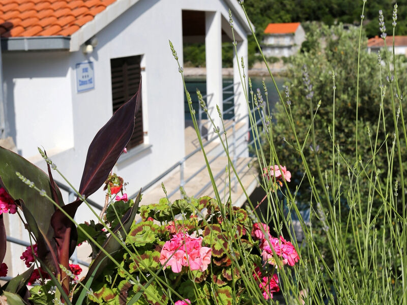 Apartmány 3298-2211