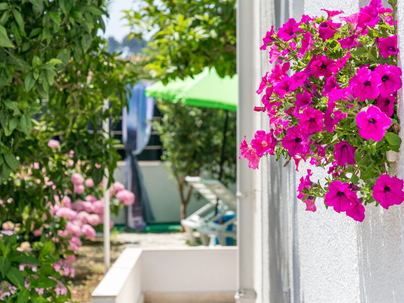Apartmány 3298-2318