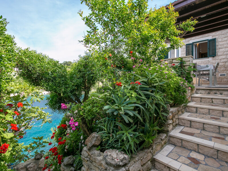 Apartmány 3298-2319