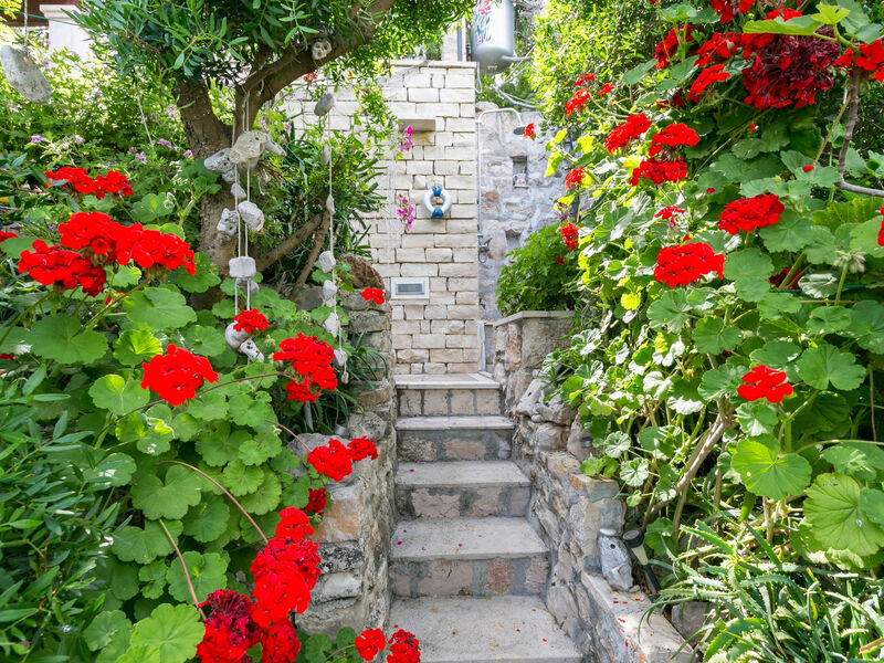 Apartmány 3298-2319