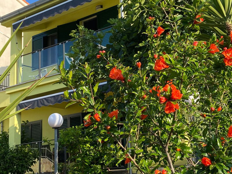Apartmány 3298-2467