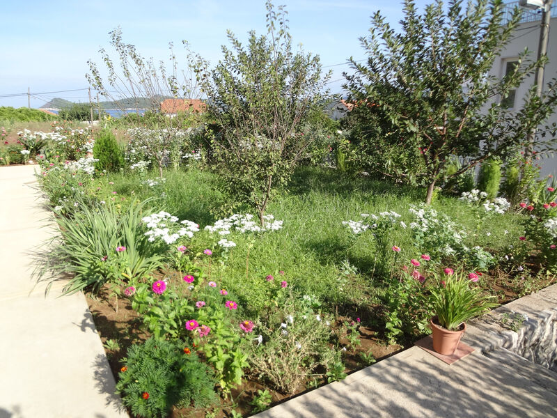 Apartmány 3298-2742