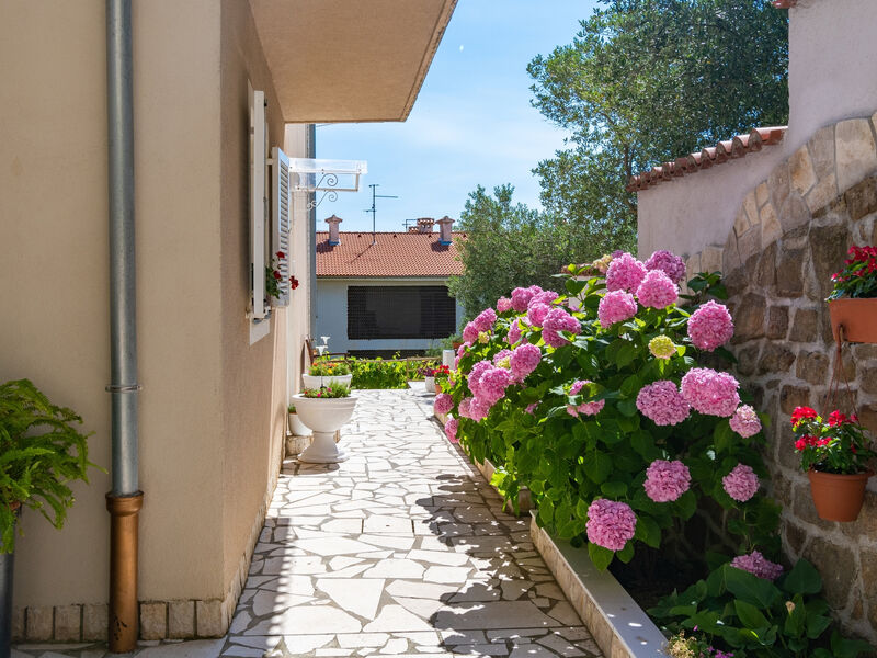 Apartmány 3298-2764