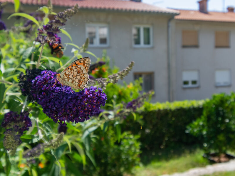 Apartmány 3298-2764