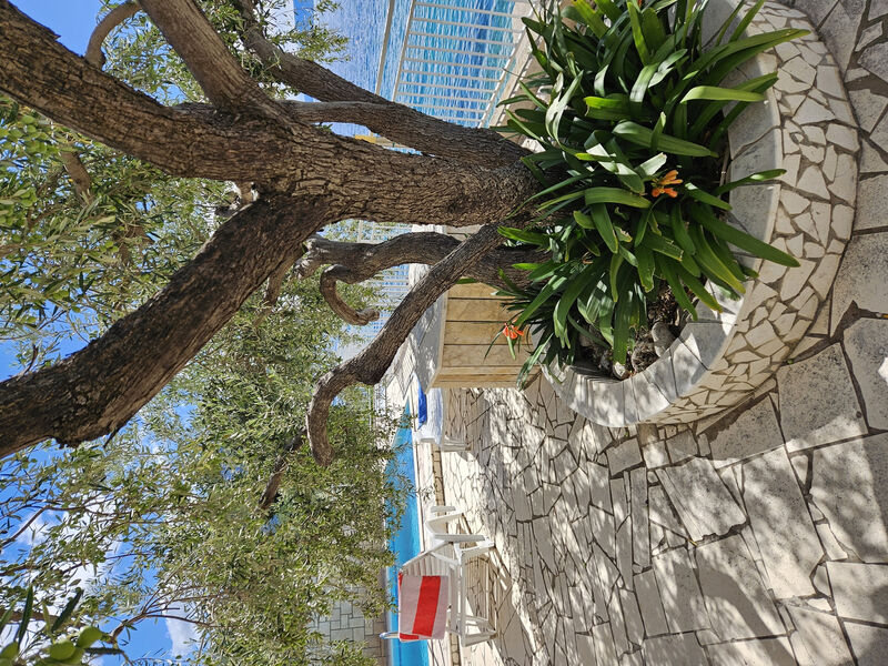 Apartmány 3298-3004
