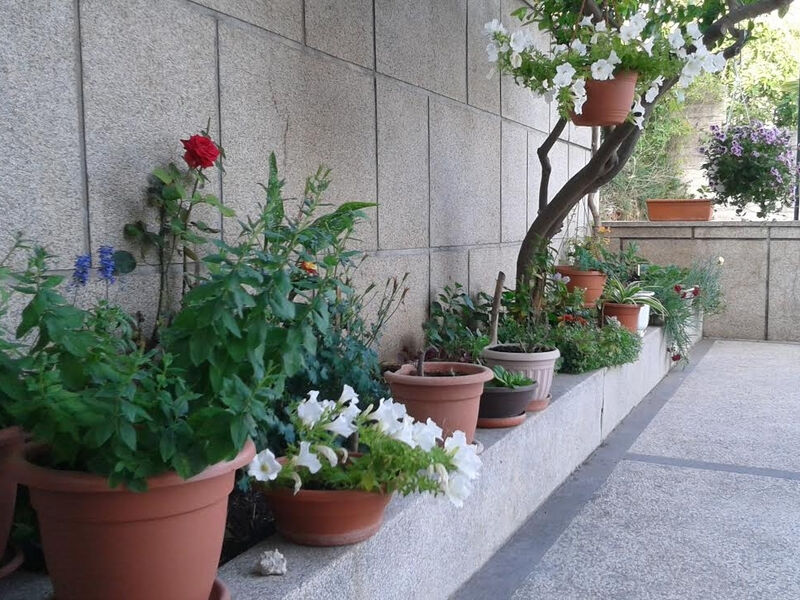 Apartmány 3298-3094