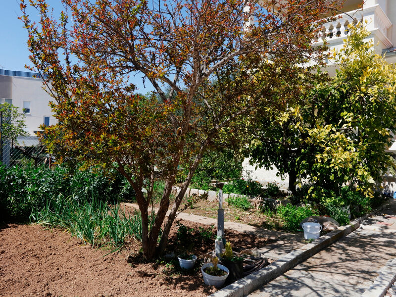 Apartmány 3298-3196