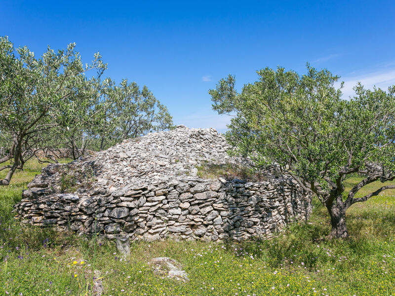Robinzonáda 3298-3341