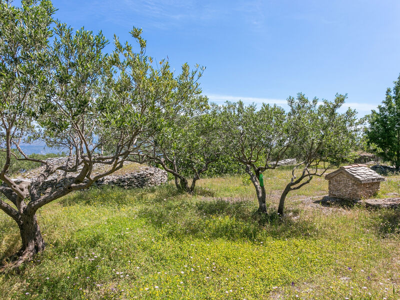 Robinzonáda 3298-3341