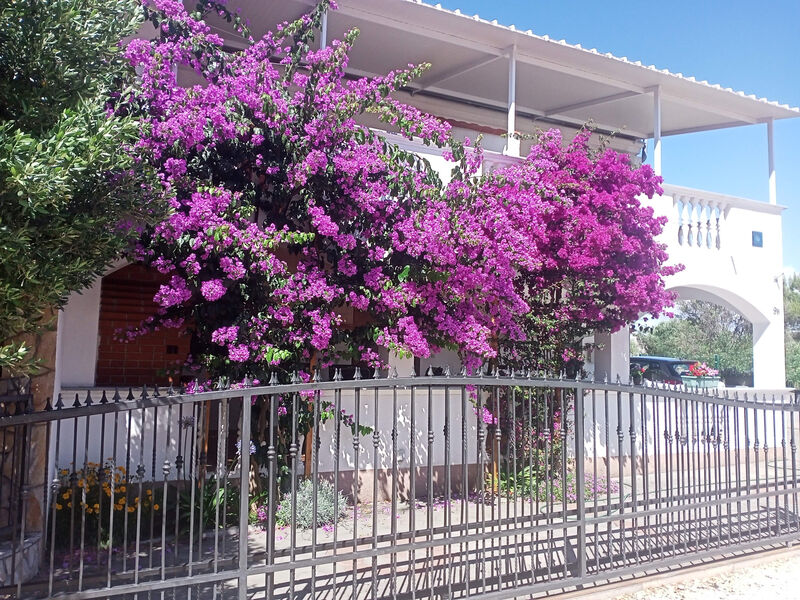 Apartmány 3298-3354