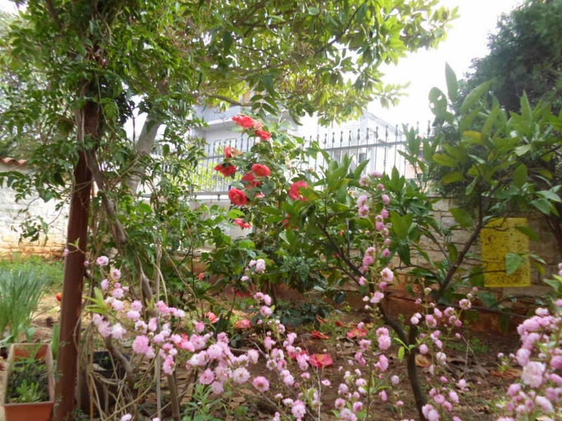 Apartmány 3298-3357