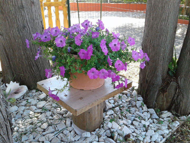 Apartmány 3298-3389