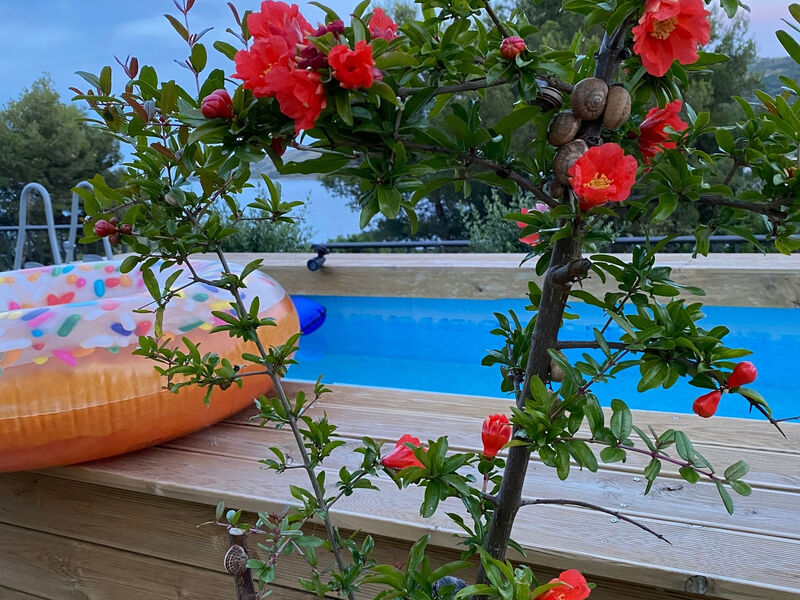 Apartmány 3298-3624